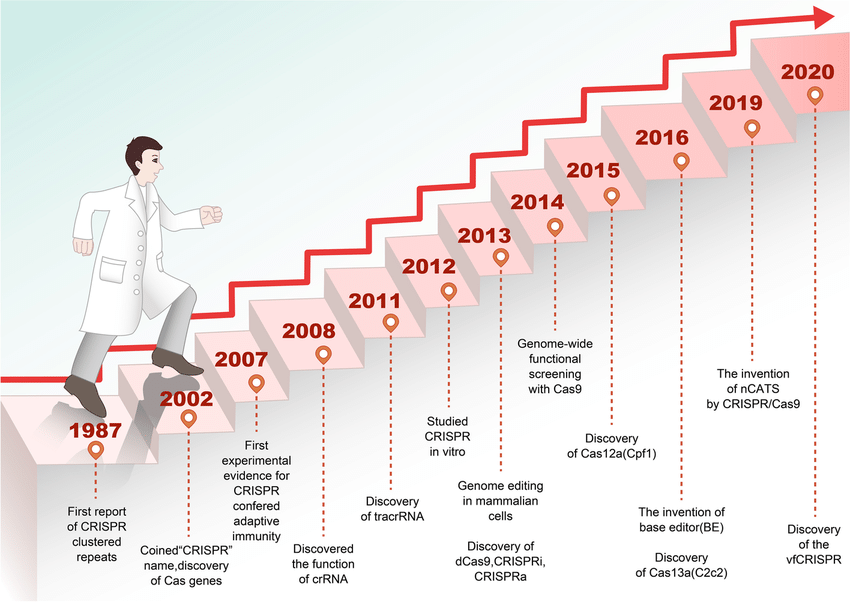 Development history of the CRISPR/Cas9-based gene editing tools. The “CRISPR” repeat sequence was reported in 1987 and named in 2002. In 2012, in vitro experiments demonstrated that mature crRNA formed a special double-stranded RNA structure with tracrRNA by base complementary pairing, thus directing Cas9 protein to cause double-stranded fracture on the target DNA. In 2013, the type II Cas system was applied to the cutting of DNA in mammalian cells, which paved the way for the application of the CRISPR/Cas9 system for gene editing. Since then, the CRISPR/Cas9 technology developed rapidly, and several CRISPR/Cas9-based tools were generated for gene editing at both DNA and RNA levels by 2020