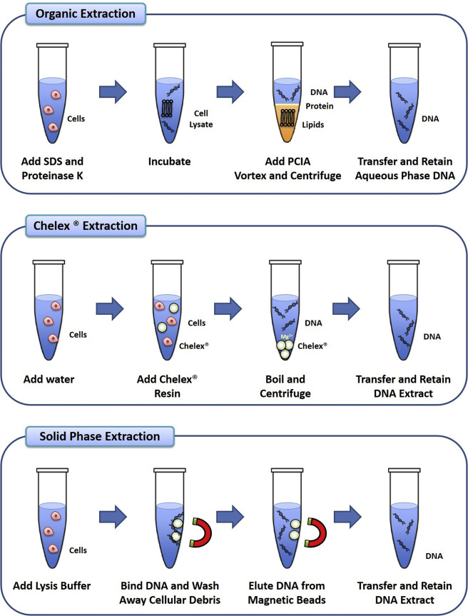 Phenol-Chloroform Extraction