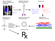Cancer genome sequencing 