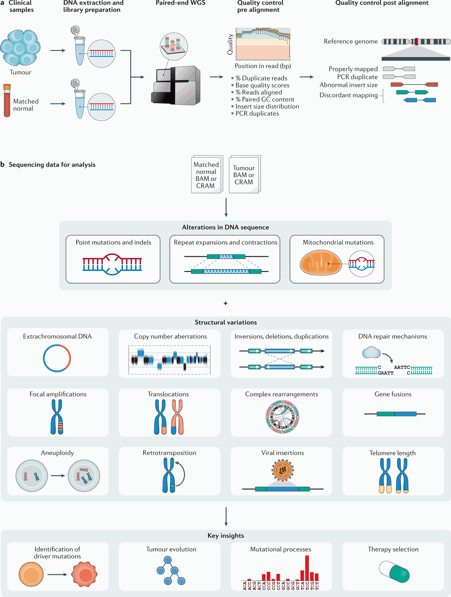 Computational analysis of cancer genome sequencing data | Nature Reviews Genetics 